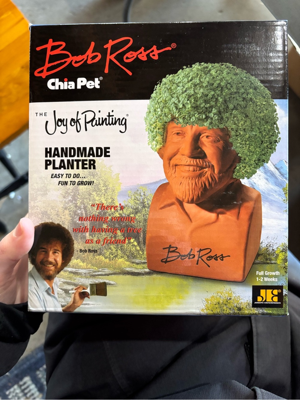 Bob Ross Green Handmade Chia Pet Planter